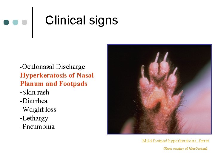 Clinical signs -Oculonasal Discharge Hyperkeratosis of Nasal Planum and Footpads -Skin rash -Diarrhea -Weight