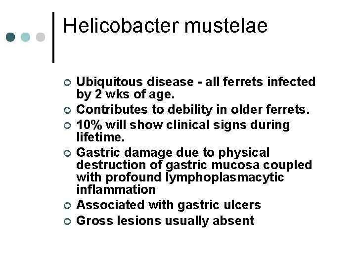 Helicobacter mustelae ¢ ¢ ¢ Ubiquitous disease - all ferrets infected by 2 wks