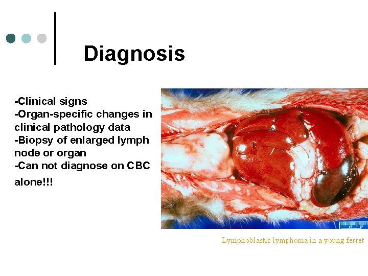Diagnosis -Clinical signs -Organ-specific changes in clinical pathology data -Biopsy of enlarged lymph node