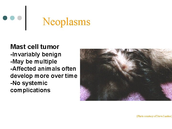 Neoplasms Mast cell tumor -Invariably benign -May be multiple -Affected animals often develop more