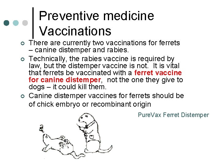 Preventive medicine Vaccinations ¢ ¢ ¢ There are currently two vaccinations for ferrets –