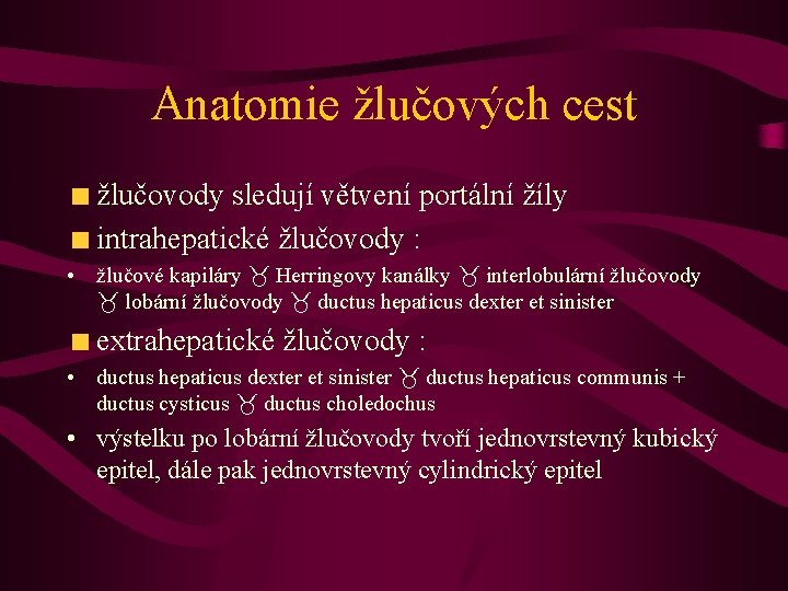 Anatomie žlučových cest žlučovody sledují větvení portální žíly intrahepatické žlučovody : • žlučové kapiláry