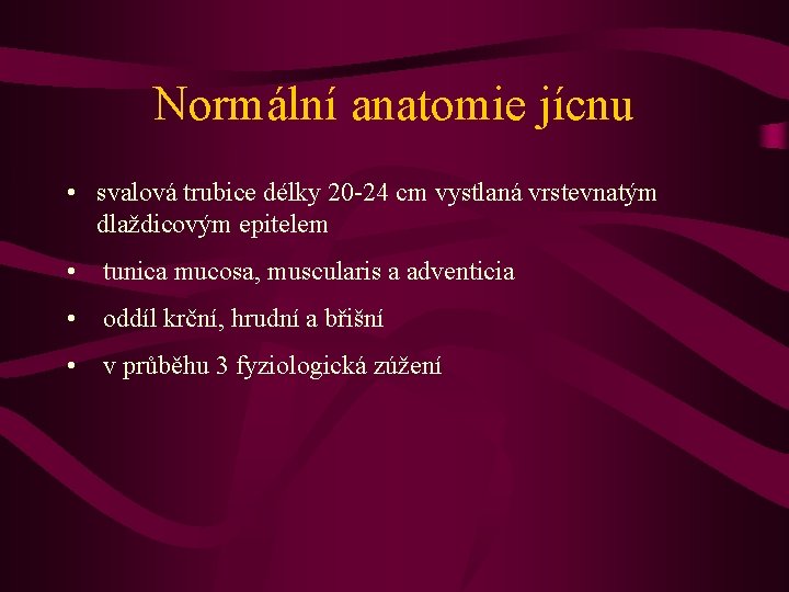 Normální anatomie jícnu • svalová trubice délky 20 -24 cm vystlaná vrstevnatým dlaždicovým epitelem