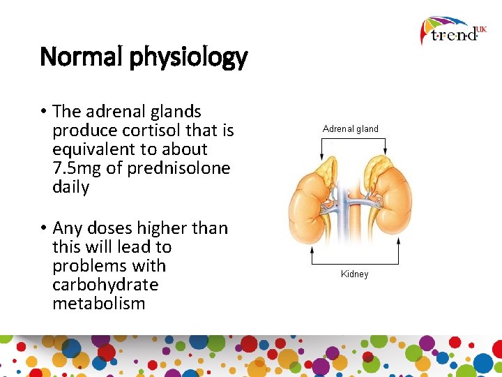 Normal physiology • The adrenal glands produce cortisol that is equivalent to about 7.
