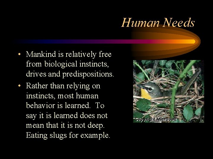 Human Needs • Mankind is relatively free from biological instincts, drives and predispositions. •