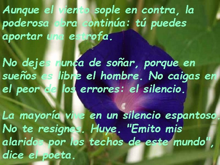 Aunque el viento sople en contra, la poderosa obra continúa: tú puedes aportar una