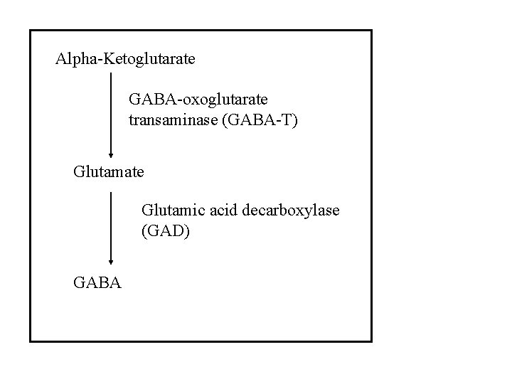 Alpha-Ketoglutarate GABA-oxoglutarate transaminase (GABA-T) Glutamate Glutamic acid decarboxylase (GAD) GABA 