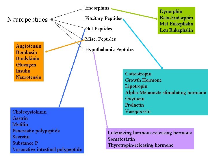 Endorphins Neuropeptides Dynorphin Beta-Endorphin Met Enkephalin Leu Enkephalin Pituitary Peptides Gut Peptides Misc. Peptides