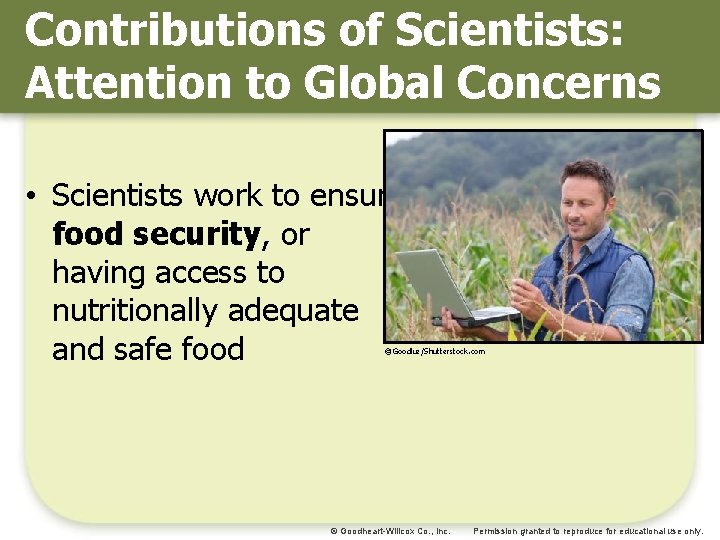 Contributions of Scientists: Attention to Global Concerns • Scientists work to ensure food security,