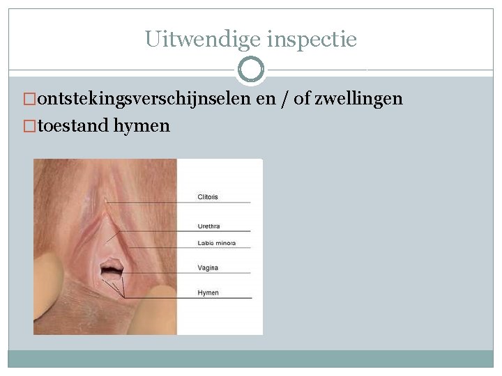 Uitwendige inspectie �ontstekingsverschijnselen en / of zwellingen �toestand hymen 