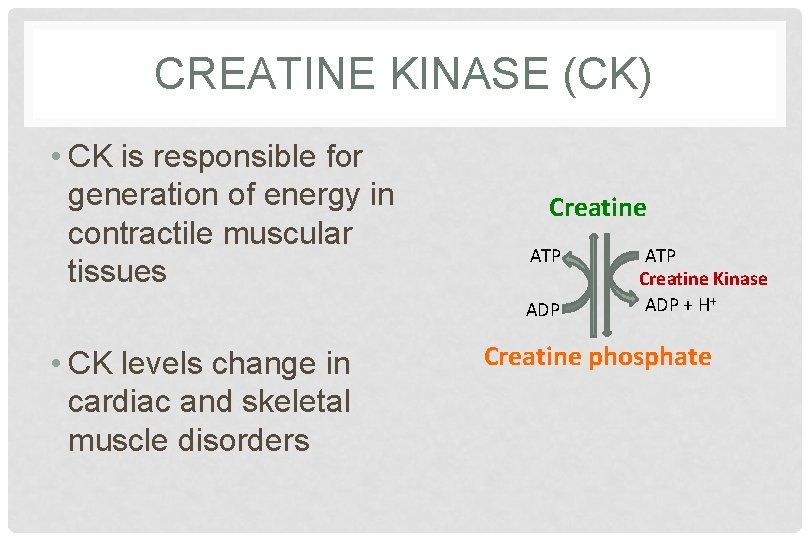 CREATINE KINASE (CK) • CK is responsible for generation of energy in contractile muscular