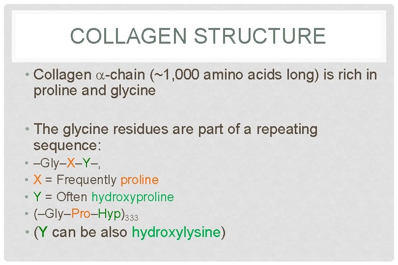 COLLAGEN STRUCTURE • Collagen a-chain (~1, 000 amino acids long) is rich in proline