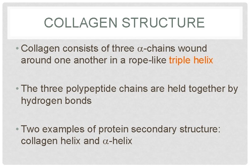COLLAGEN STRUCTURE • Collagen consists of three a-chains wound around one another in a