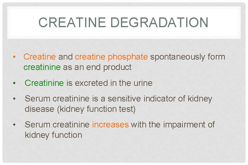 CREATINE DEGRADATION • Creatine and creatine phosphate spontaneously form creatinine as an end product