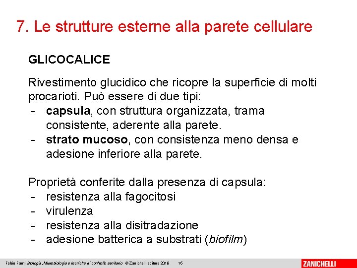 7. Le strutture esterne alla parete cellulare GLICOCALICE Rivestimento glucidico che ricopre la superficie