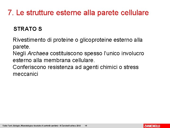 7. Le strutture esterne alla parete cellulare STRATO S Rivestimento di proteine o glicoproteine