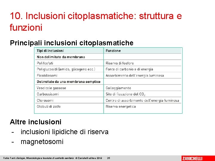 10. Inclusioni citoplasmatiche: struttura e funzioni Principali inclusioni citoplasmatiche Altre inclusioni - inclusioni lipidiche