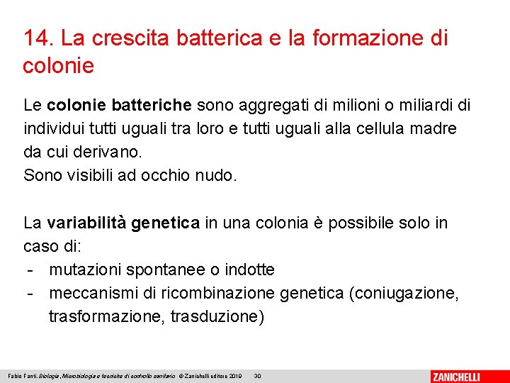 14. La crescita batterica e la formazione di colonie Le colonie batteriche sono aggregati