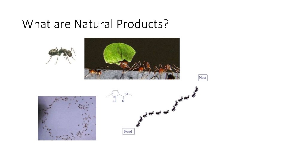 What are Natural Products? 