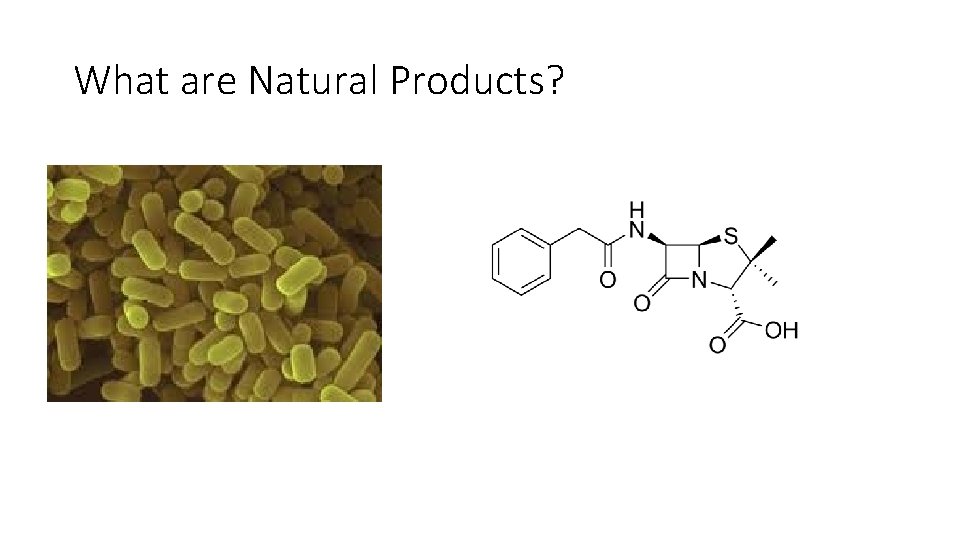 What are Natural Products? 