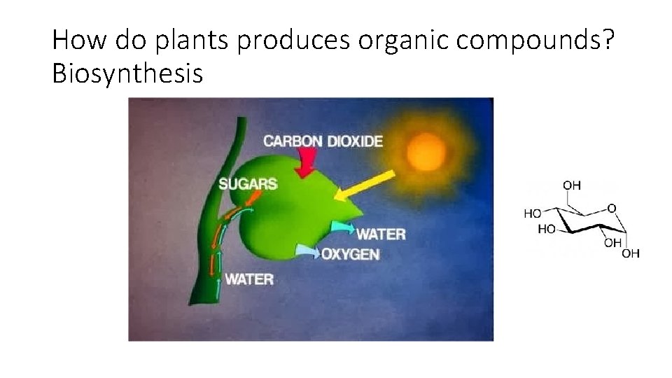 How do plants produces organic compounds? Biosynthesis 
