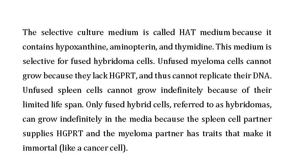 The selective culture medium is called HAT medium because it contains hypoxanthine, aminopterin, and