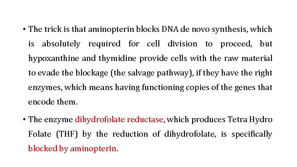  • The trick is that aminopterin blocks DNA de novo synthesis, which is