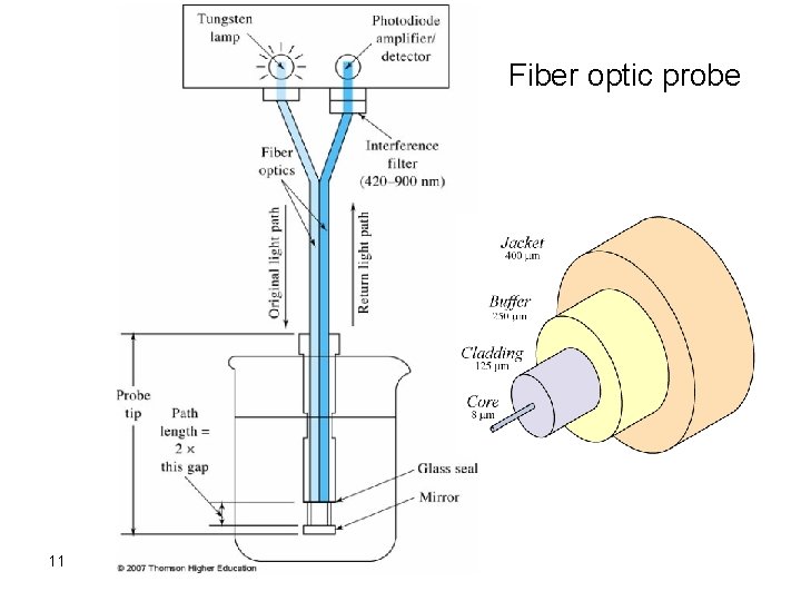 Fiber optic probe 11 