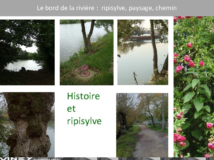 Le bord de la rivière : ripisylve, paysage, chemin Histoire et ripisylve 