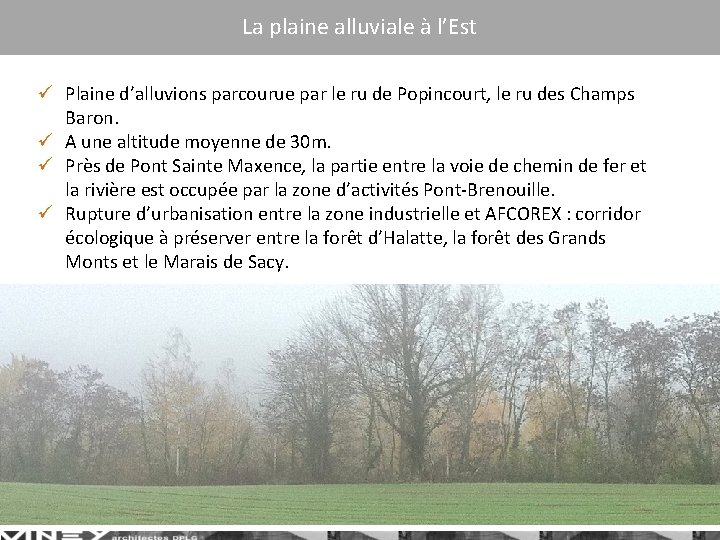 La plaine alluviale à l’Est ü Plaine d’alluvions parcourue par le ru de Popincourt,