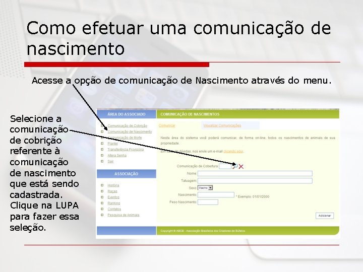 Como efetuar uma comunicação de nascimento Acesse a opção de comunicação de Nascimento através