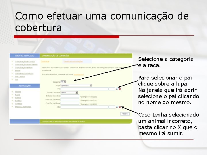 Como efetuar uma comunicação de cobertura Selecione a categoria e a raça. Para selecionar