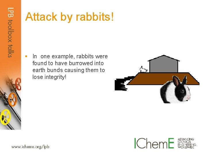 Attack by rabbits! § In one example, rabbits were found to have burrowed into