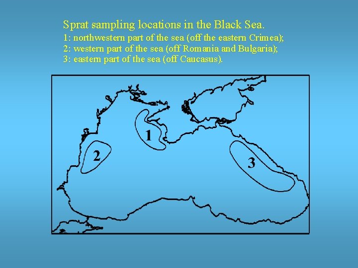 Sprat sampling locations in the Black Sea. 1: northwestern part of the sea (off