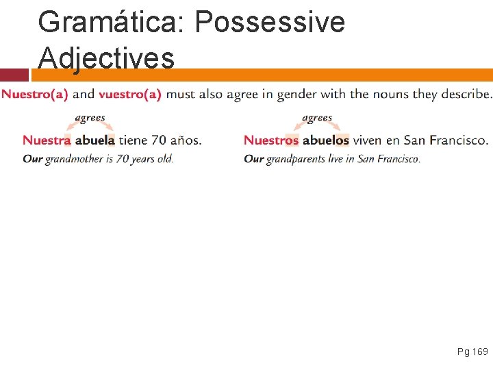 Gramática: Possessive Adjectives Pg 169 