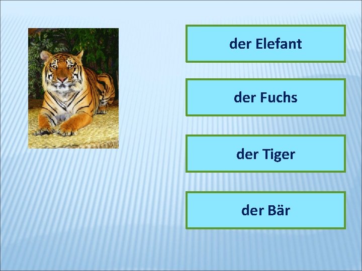 der Elefant der Fuchs der Tiger der Bär 