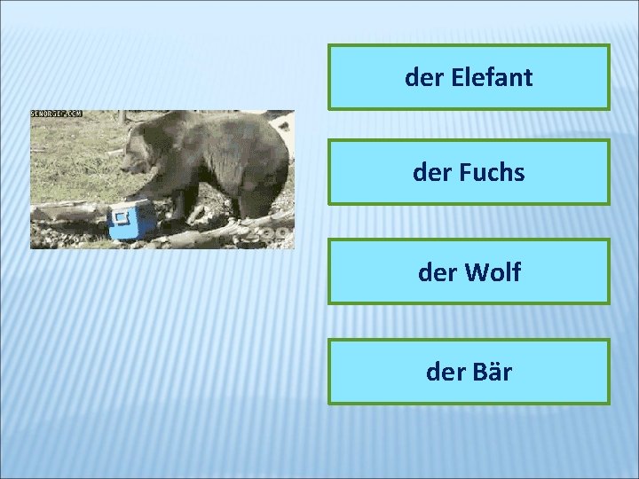 der Elefant der Fuchs der Wolf der Bär 