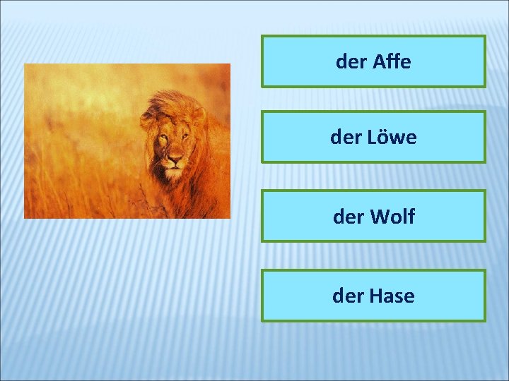 der Affe der Löwe der Wolf der Hase 