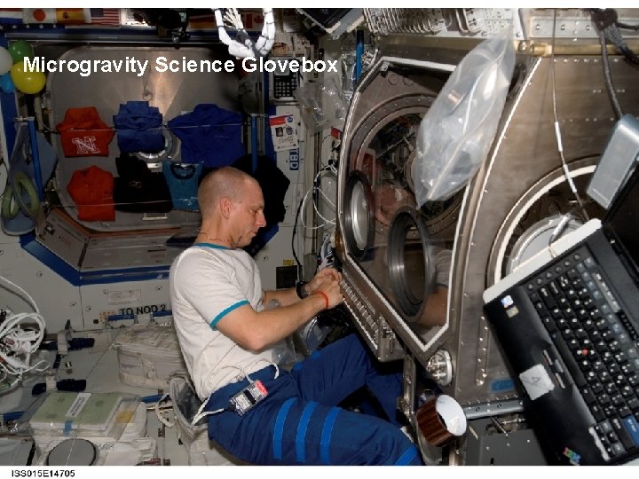 Microgravity Science Glovebox 