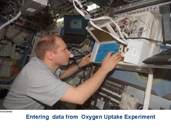 Entering data from Oxygen Uptake Experiment 