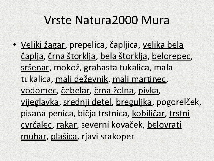 Vrste Natura 2000 Mura • Veliki žagar, prepelica, čapljica, velika bela čaplja, črna štorklja,