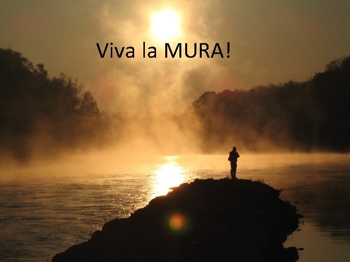 Viva la MURA! 
