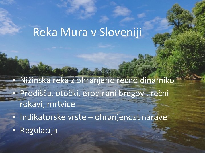 Reka Mura v Sloveniji • Nižinska reka z ohranjeno rečno dinamiko • Prodišča, otočki,
