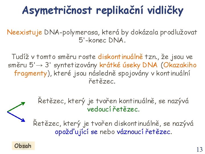 Asymetričnost replikační vidličky Neexistuje DNA-polymerasa, která by dokázala prodlužovat 5'-konec DNA. Tudíž v tomto