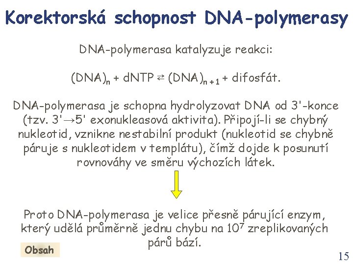 Korektorská schopnost DNA-polymerasy DNA-polymerasa katalyzuje reakci: (DNA)n + d. NTP ⇄ (DNA)n + 1