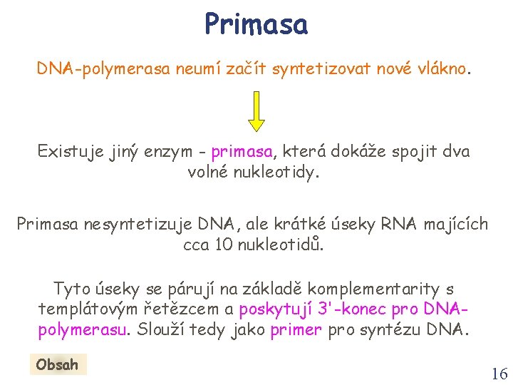 Primasa DNA-polymerasa neumí začít syntetizovat nové vlákno. Existuje jiný enzym - primasa, která dokáže