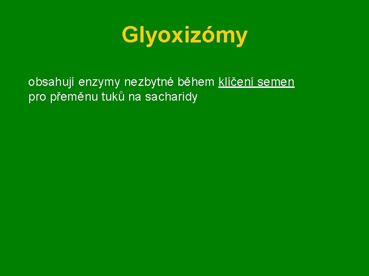 Glyoxizómy obsahují enzymy nezbytné během klíčení semen pro přeměnu tuků na sacharidy 