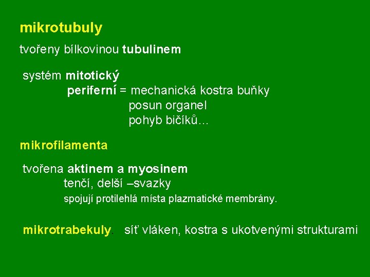 mikrotubuly tvořeny bílkovinou tubulinem systém mitotický periferní = mechanická kostra buňky posun organel pohyb