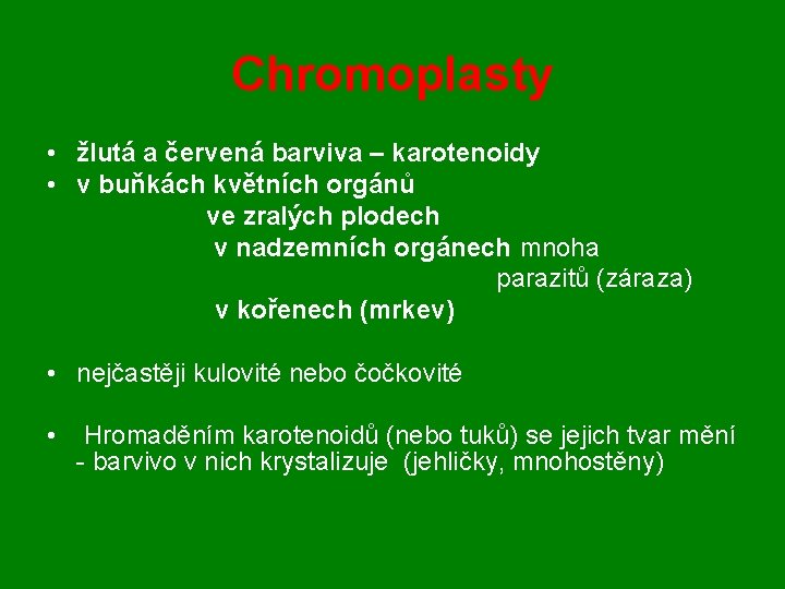 Chromoplasty • žlutá a červená barviva – karotenoidy • v buňkách květních orgánů ve