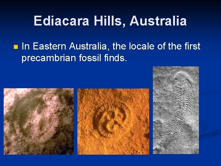 Ediacara Hills, Australia n In Eastern Australia, the locale of the first precambrian fossil